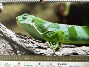 Kalender-2026-3