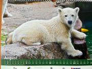 Kalender-2026-4